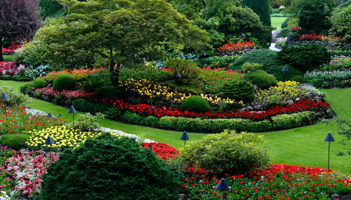 What You Should Know About Landscaping versus Lawn Care