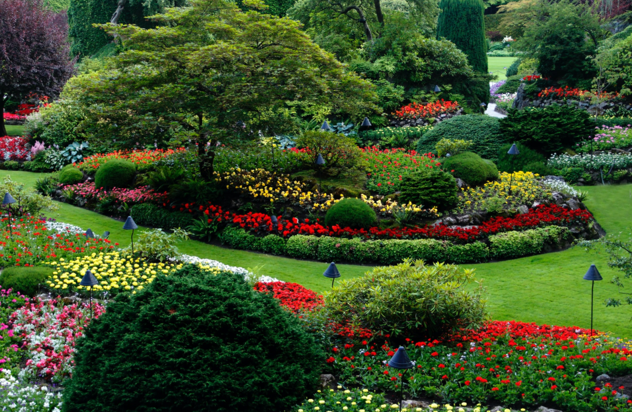 Landscaping and cleaning services