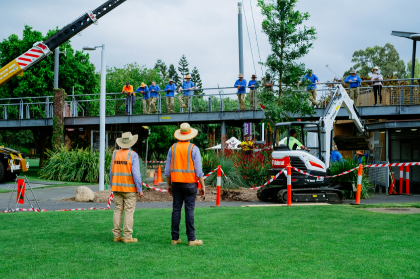 How Level 5 Arborist near me can help you to Maintain Your Garden?