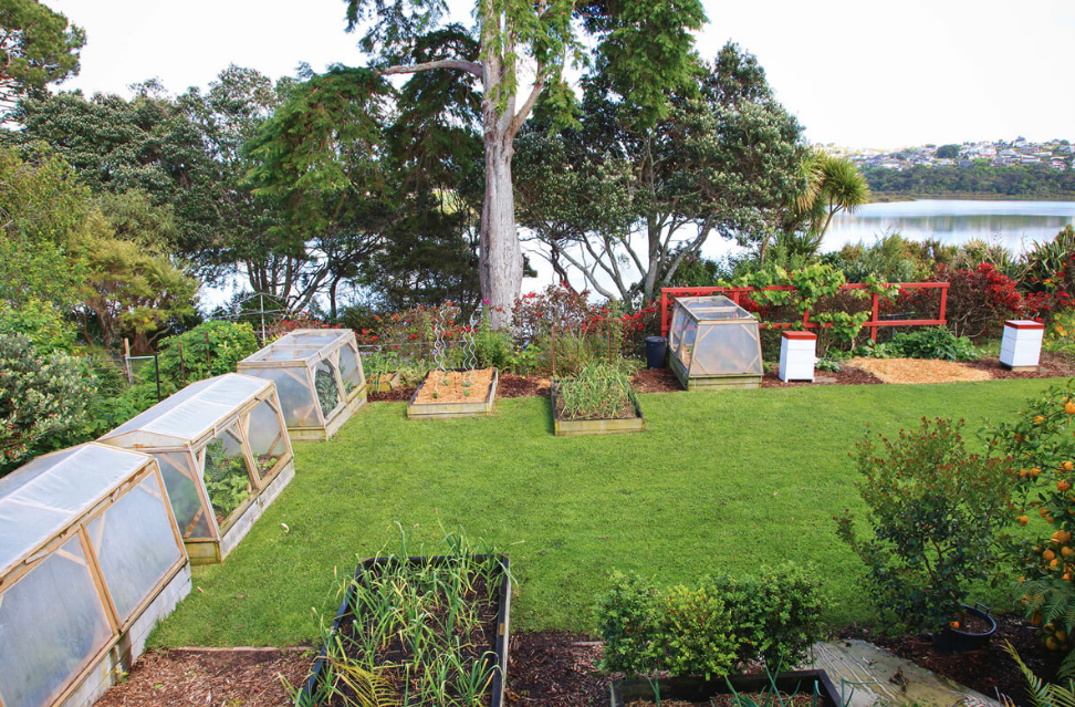 Essential Elements of Garden Landscaping Auckland