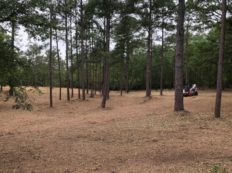 forestry mulching contractors