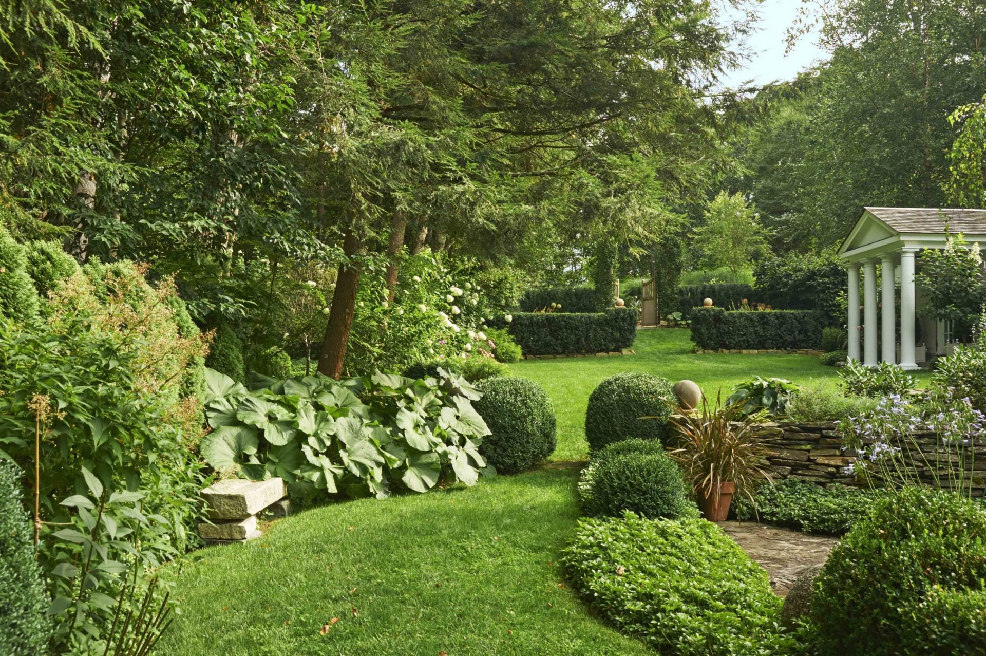 backyard landscaping