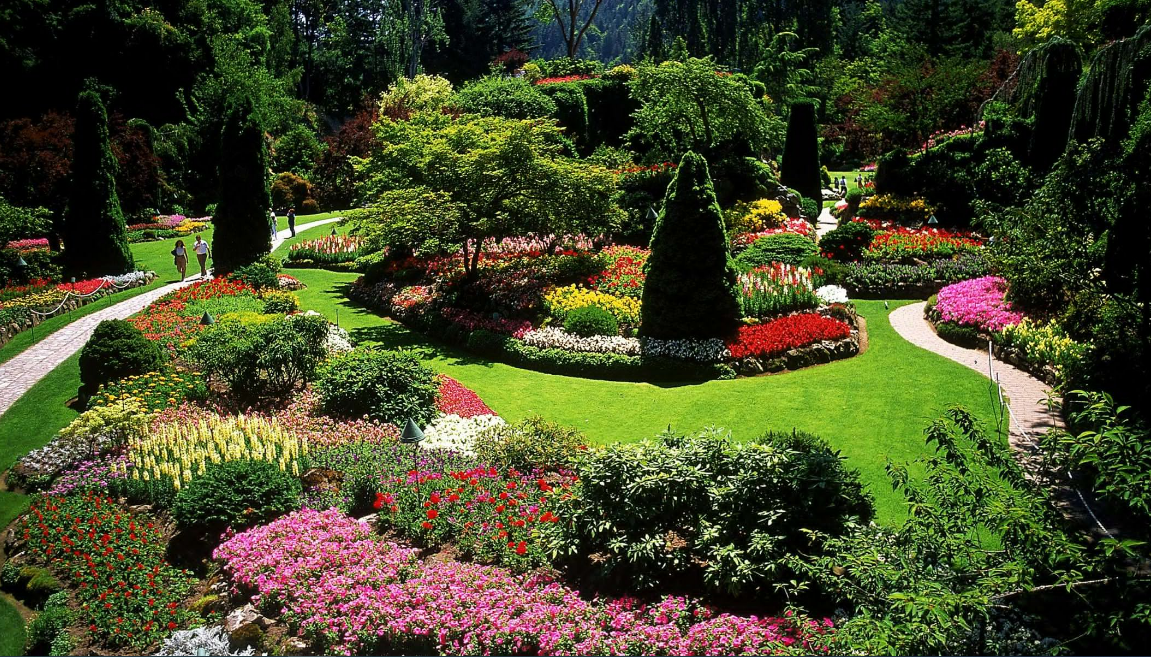 Ways To Make Your Landscape Design Auckland More Aesthetic