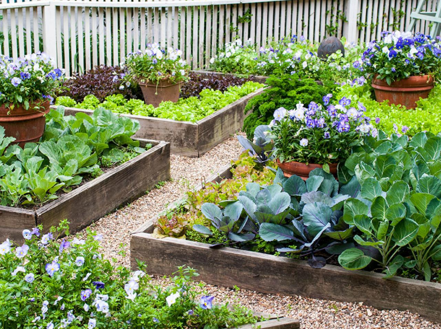 Easy Steps To Build The Raised Vege Garden In NZ