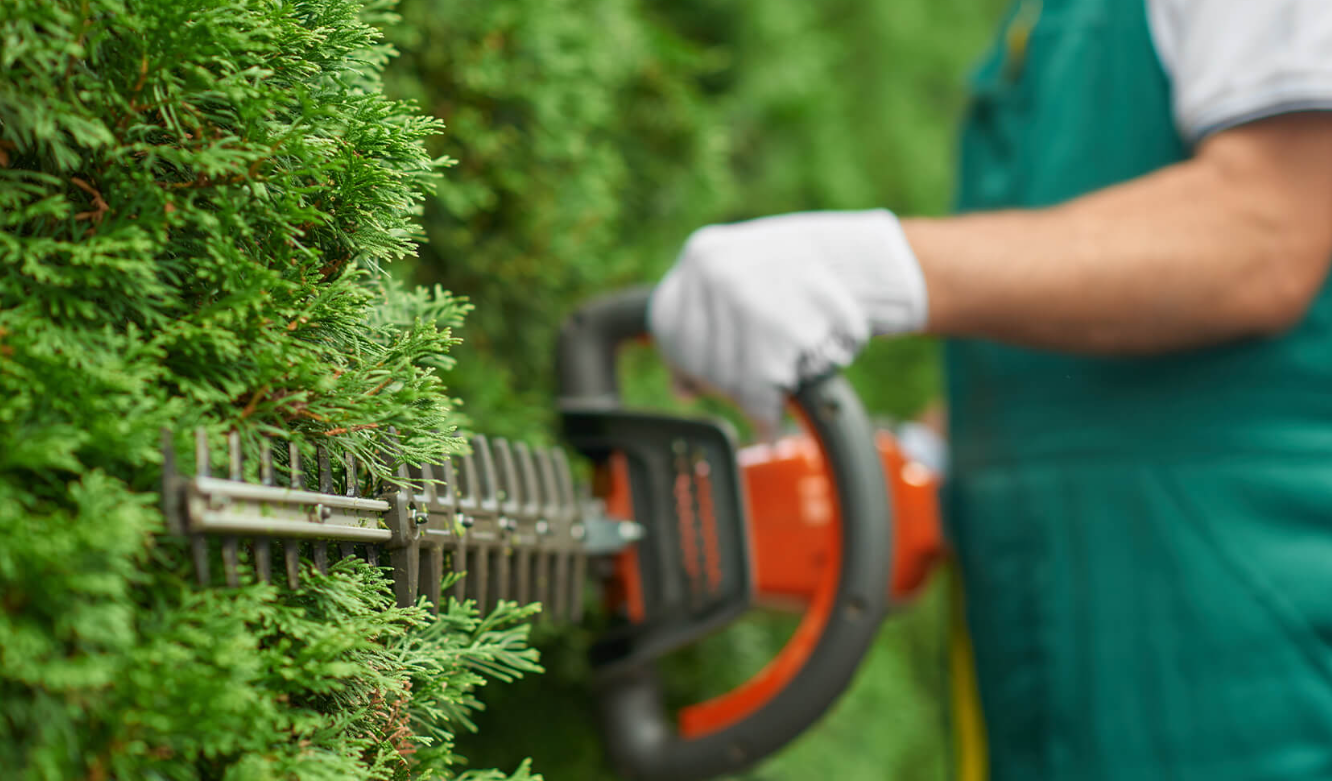 garden services in Sydney