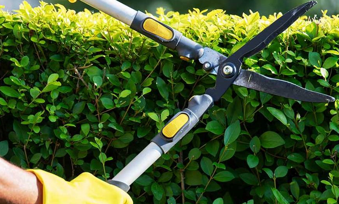 10 Garden Trends Worth Considering Introducing To Your Garden Design