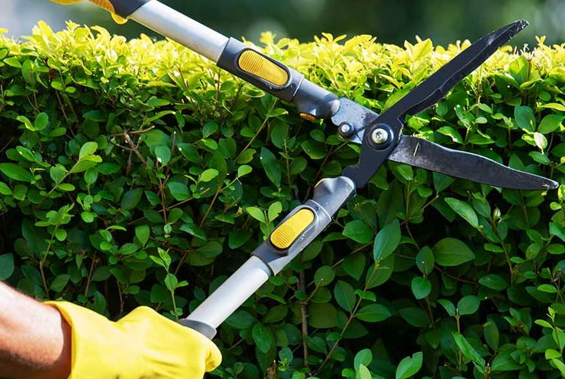 garden services in Sydney