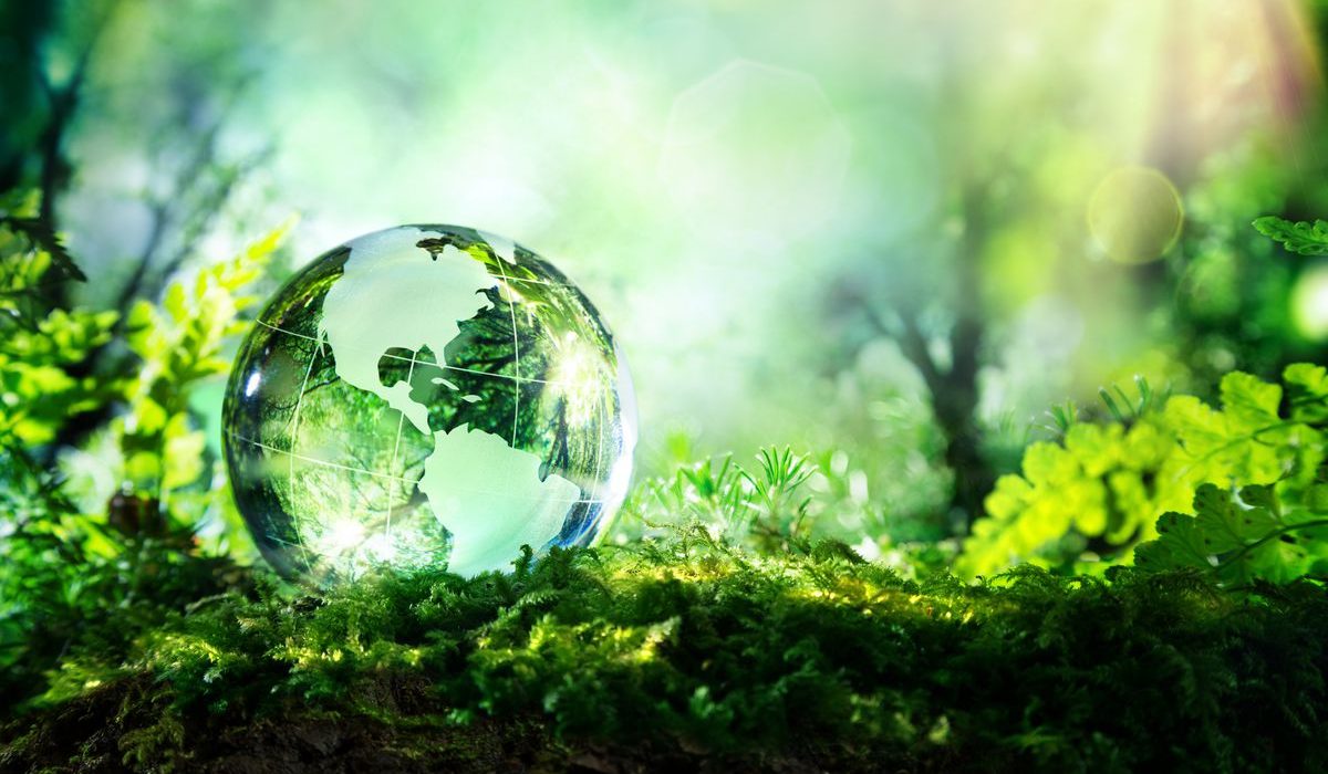 How Can Different Environmental Monitoring Solutions Save Our Planet?