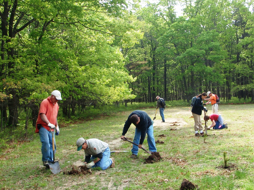 environmental rehabilitation