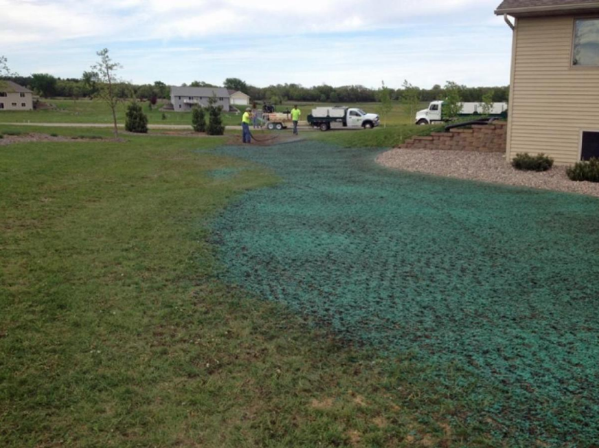 hydroseeding