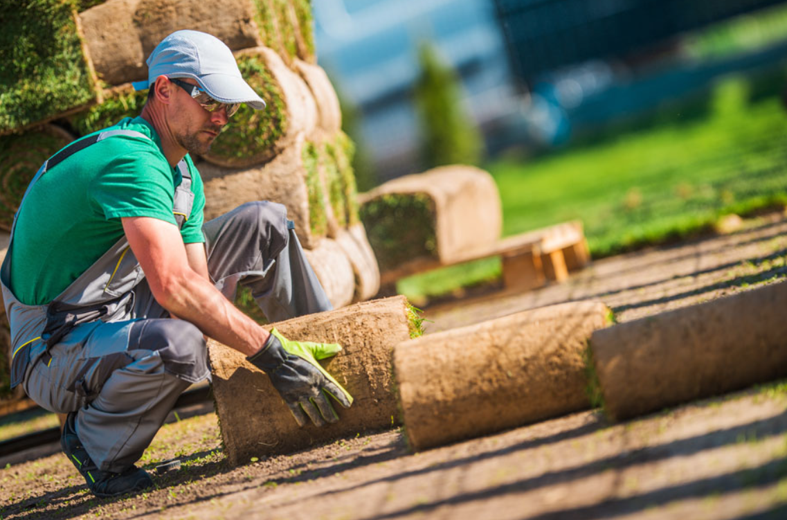 landscape construction in Durham