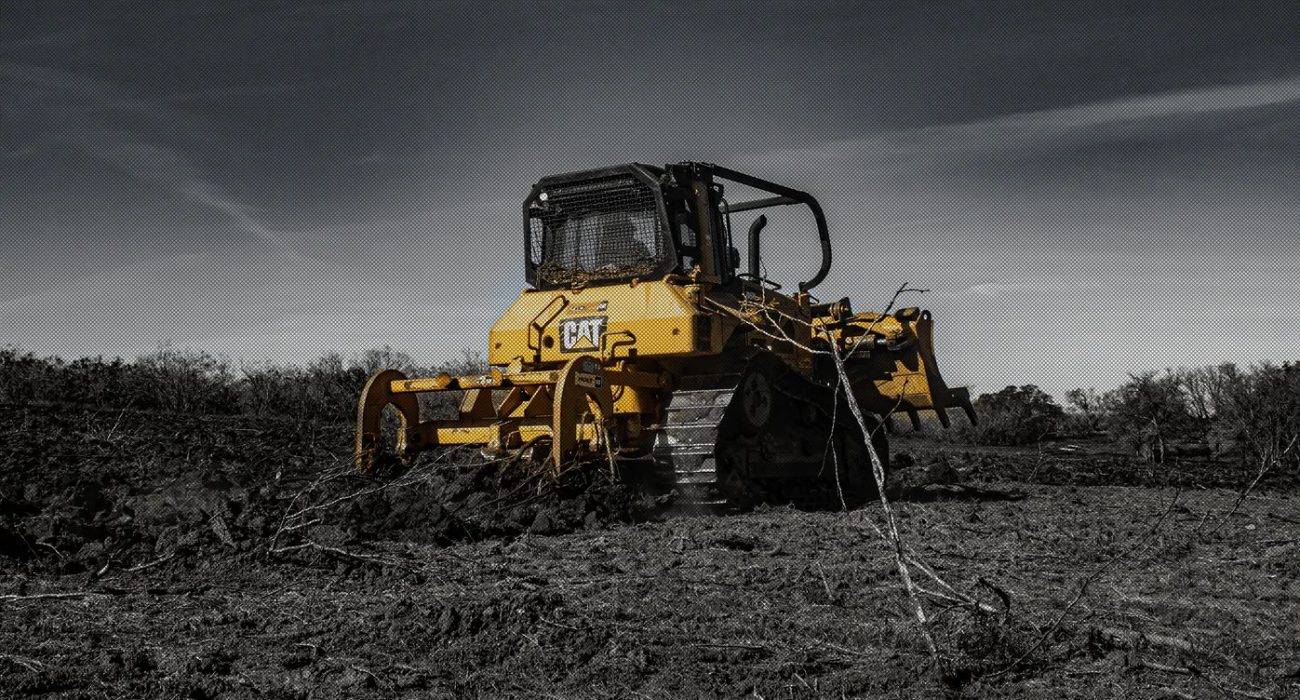 How To Find The Best Land Clearing Services in Auckland