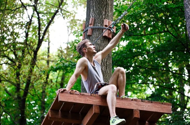 level 5 arborist