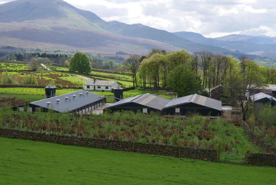 The Negative Impact of Shelter Belt Removal on Agricultural Production