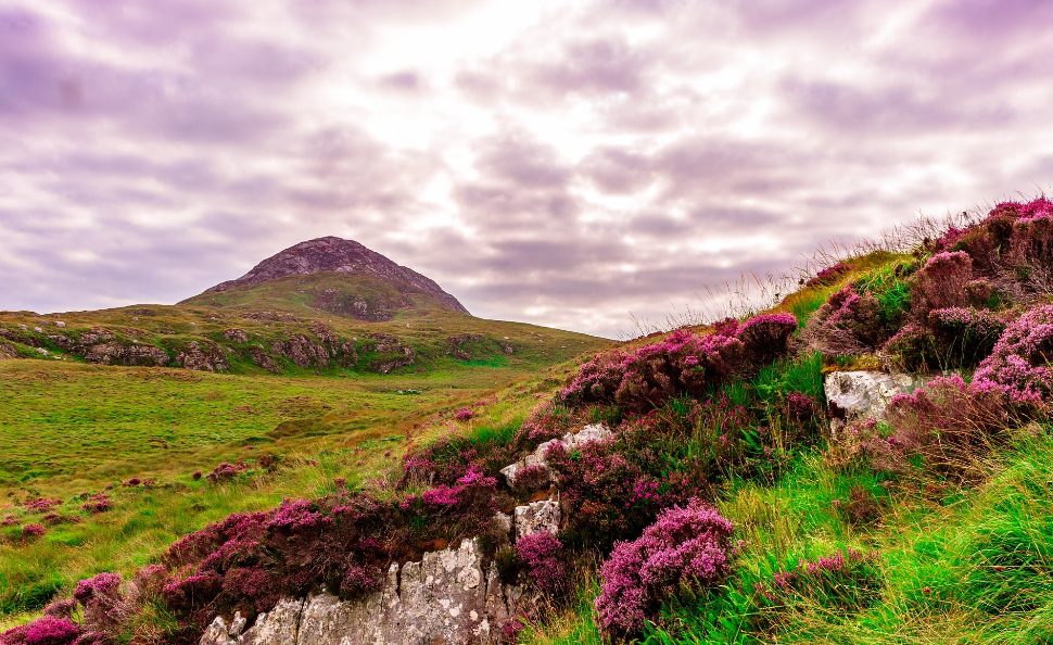 Why Rural Settings Also Benefit From Ecological Assessments