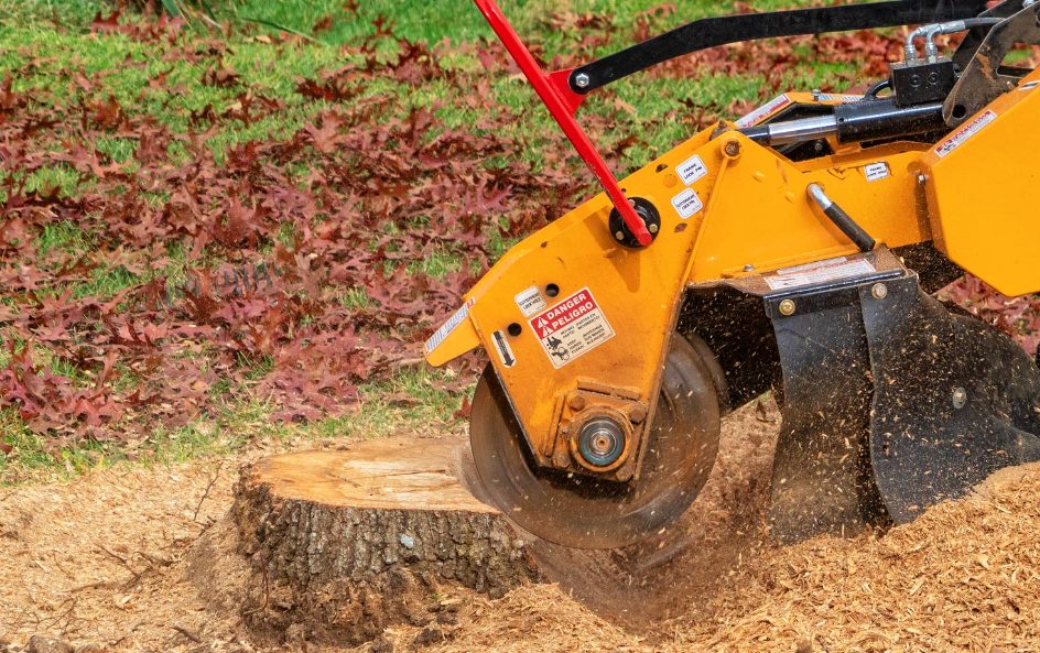 tree stump grinding in Auckland