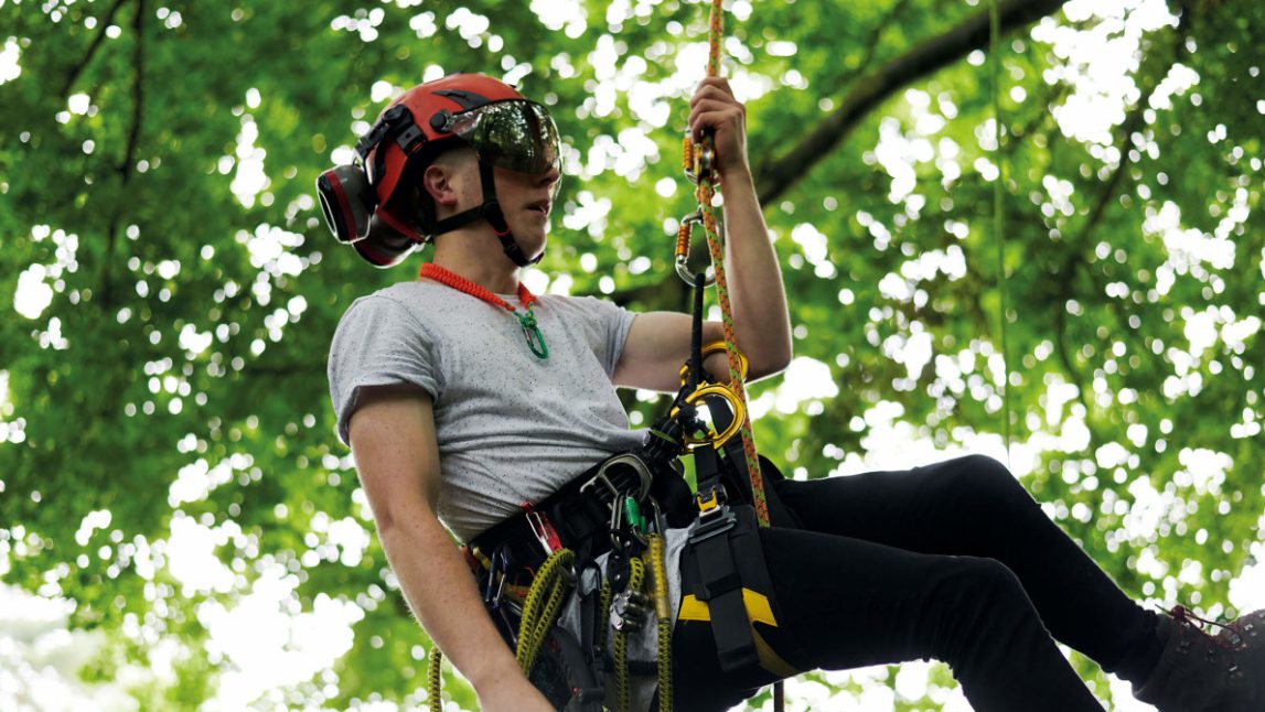 The 5 Unforeseen Advantages of Arboriculture