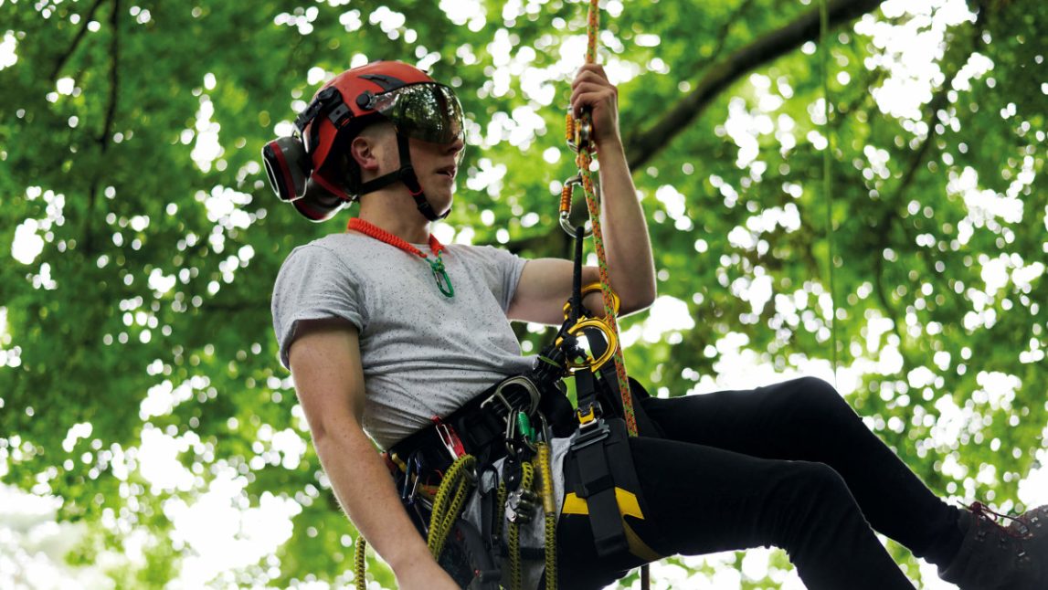 The 5 Unforeseen Advantages of Arboriculture