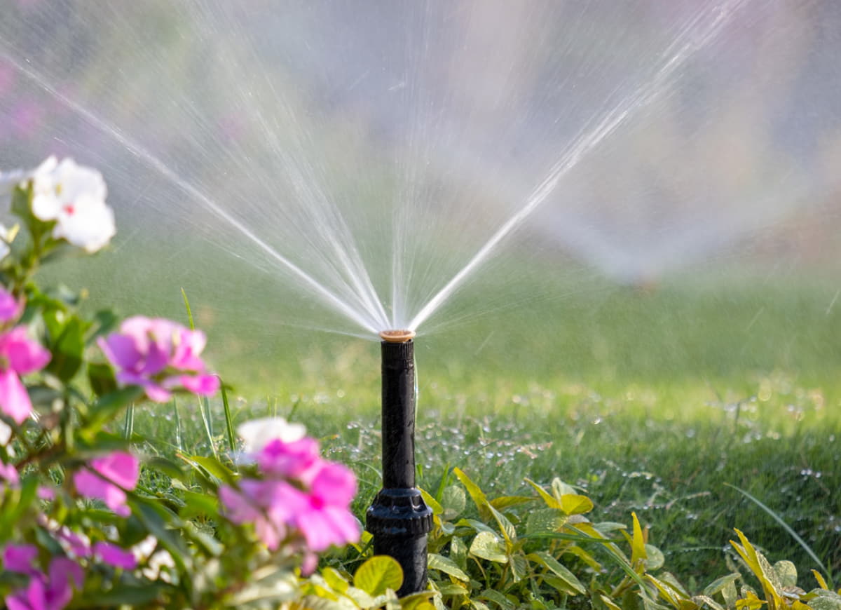in ground sprinkler system