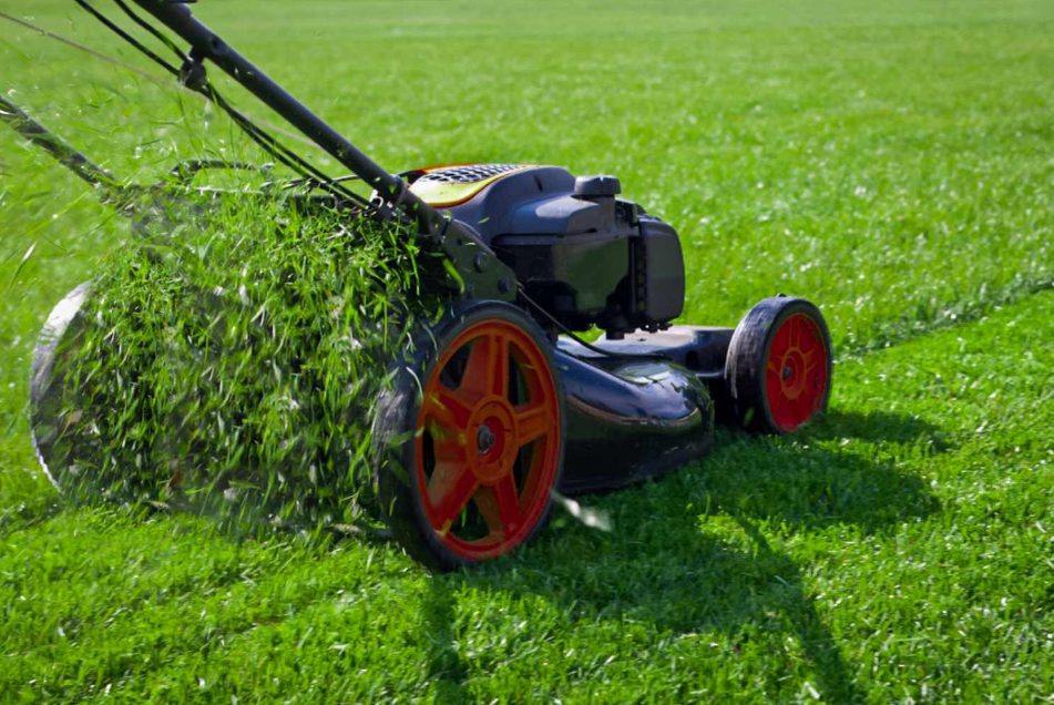 Effective Lawn Maintenance Strategies for a Stunning Landscape