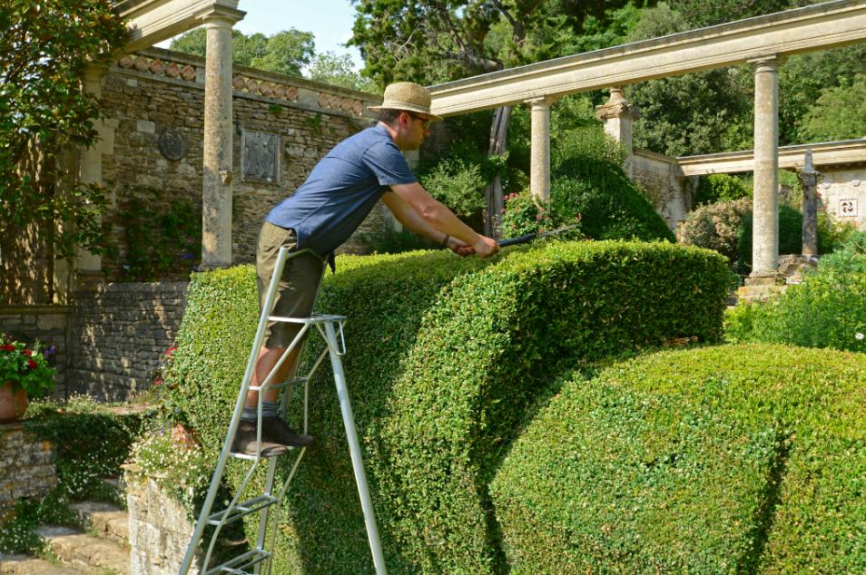 Why Hiring Professionals for Hedge Trimming in Sydney is a Smart Investment
